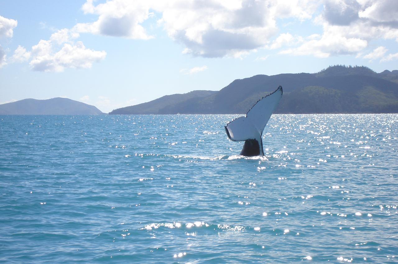 Marina View Apartment Airlie Beach Εξωτερικό φωτογραφία
